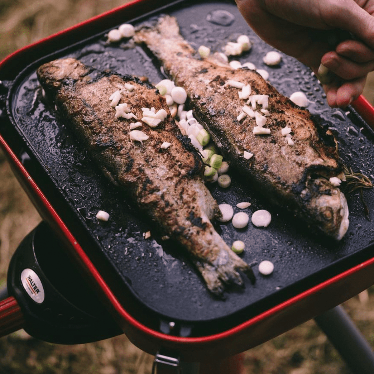 WALTER Camping- und Party-Gasgrill