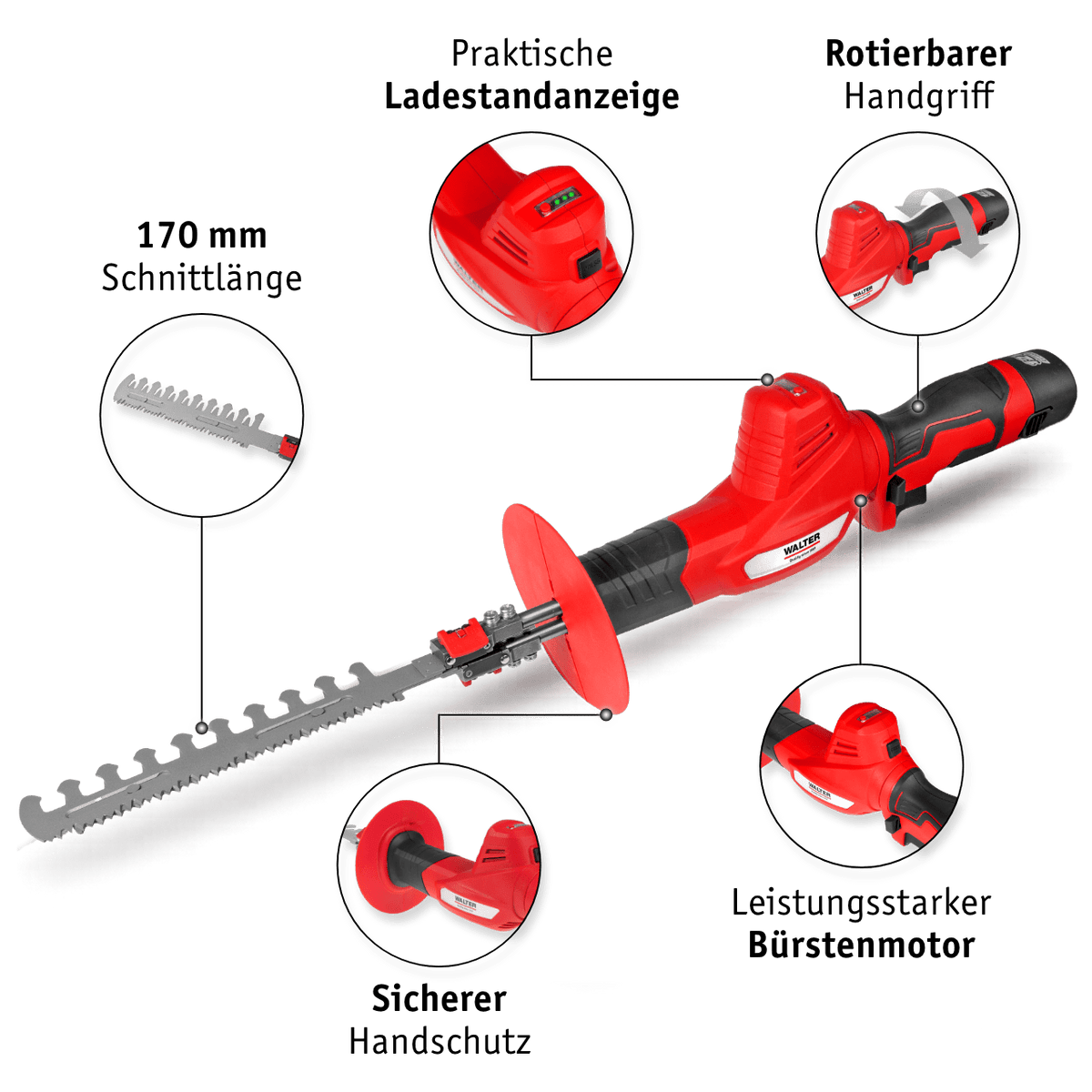 WALTER 2 - in - 1 Heckenscheren / Säge