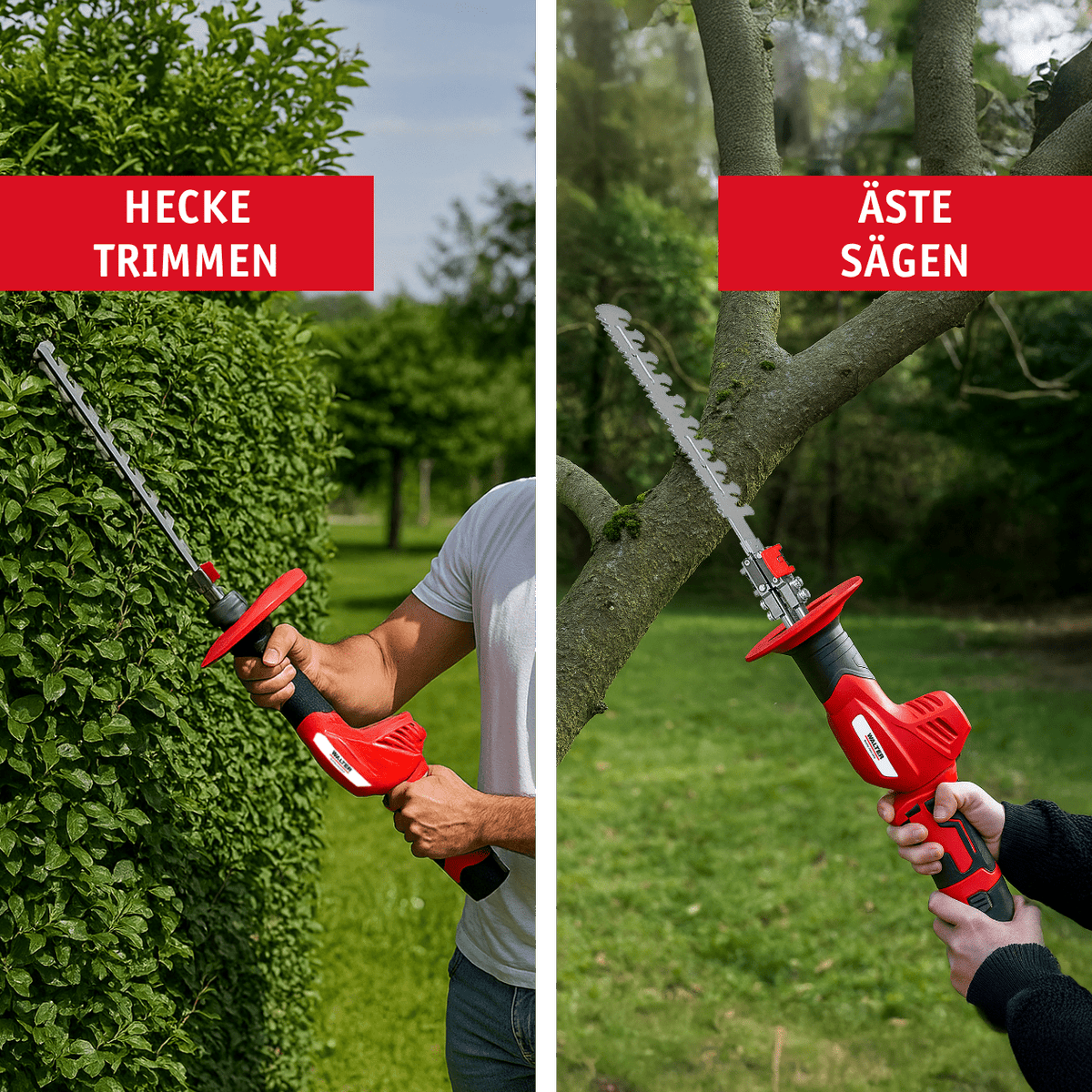 WALTER 2 - in - 1 Heckenscheren / Säge