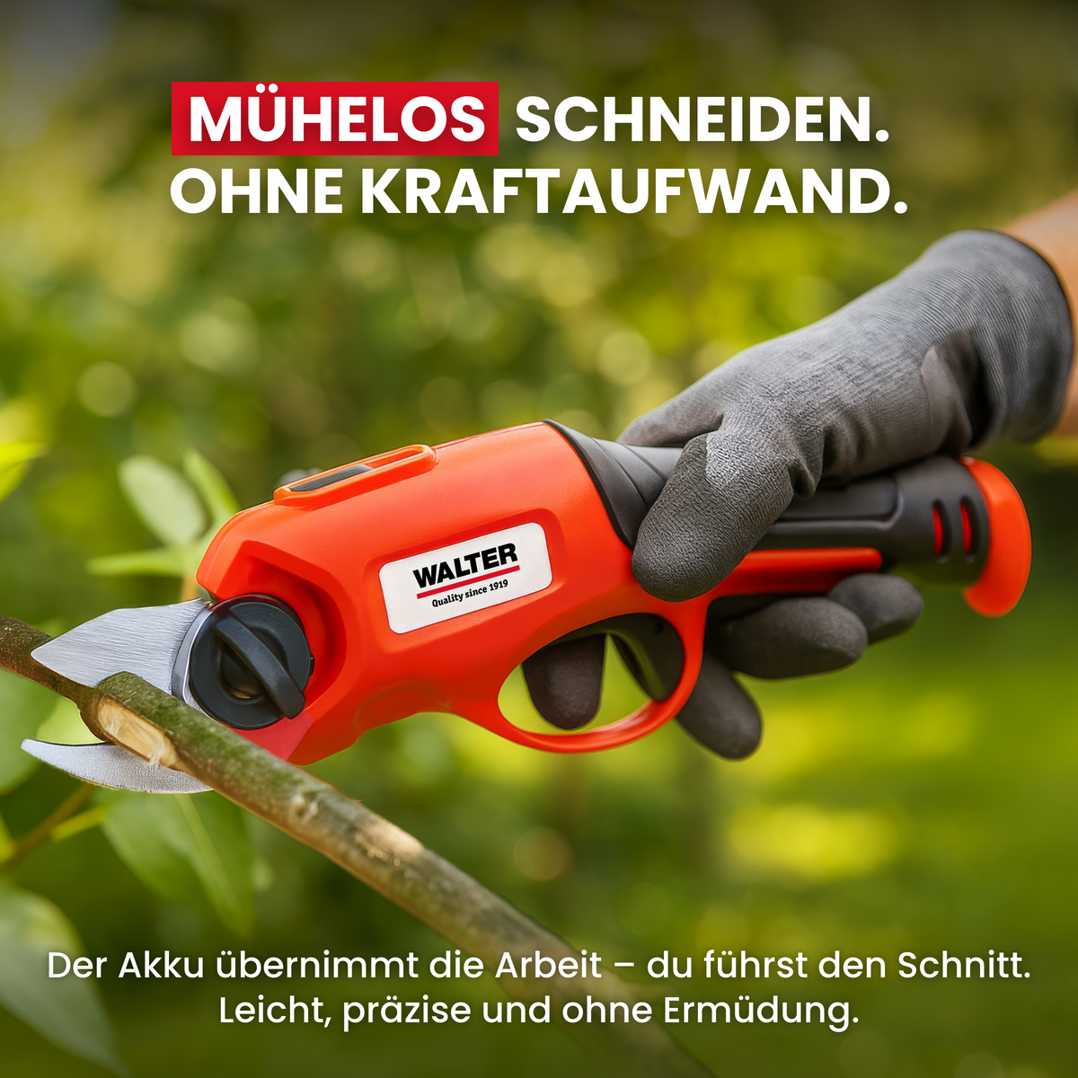 Li-Ion Akku-Astschere 4 V