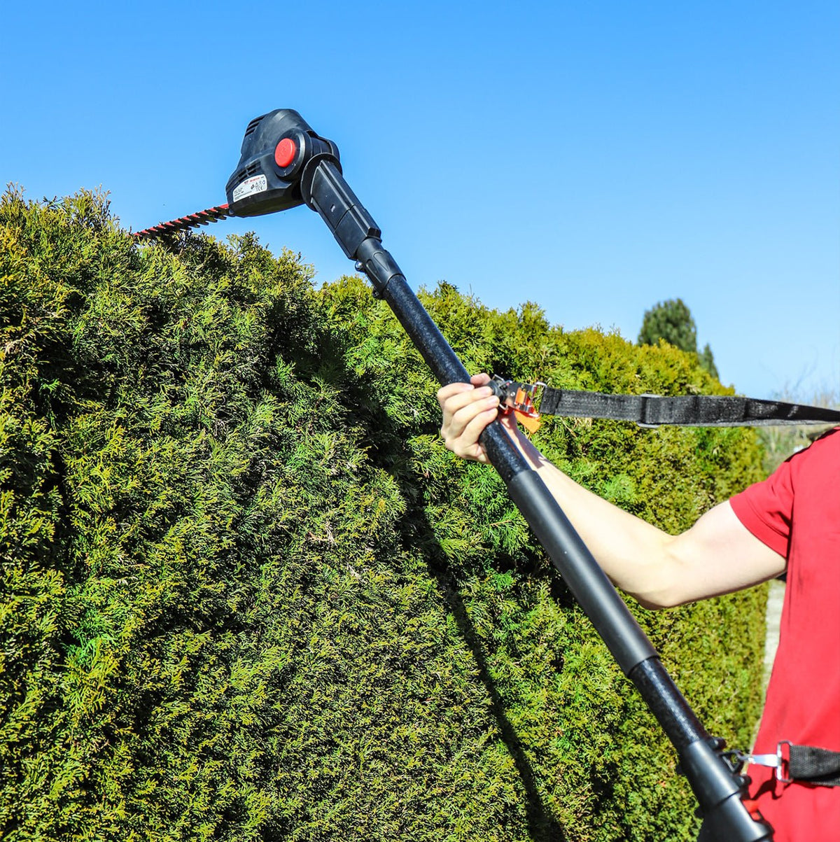 WALTER 2-in-1 Heckenschere/Kettensäge 450 W / 710 W