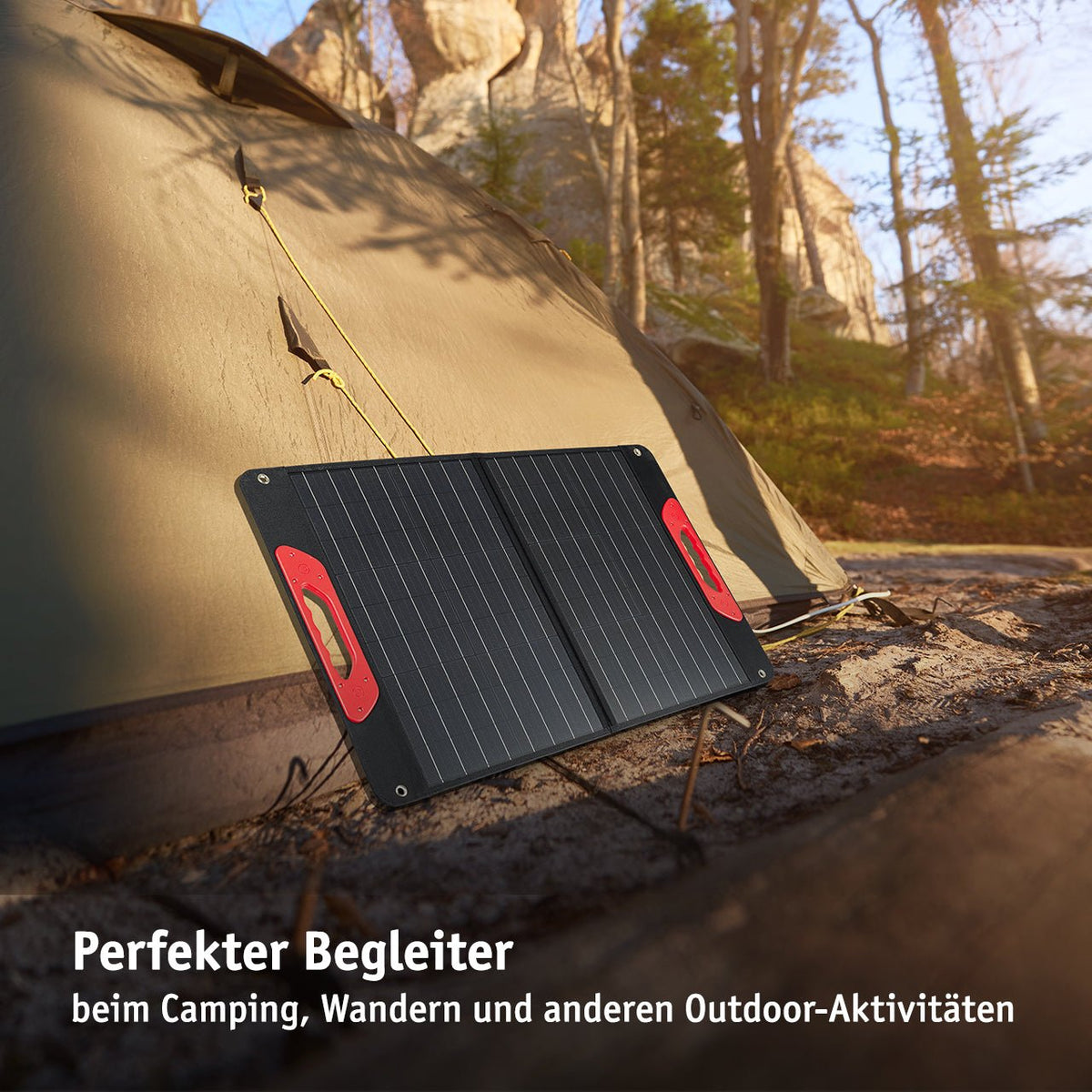 WALTER Solarpanel 60 W (faltbar)
