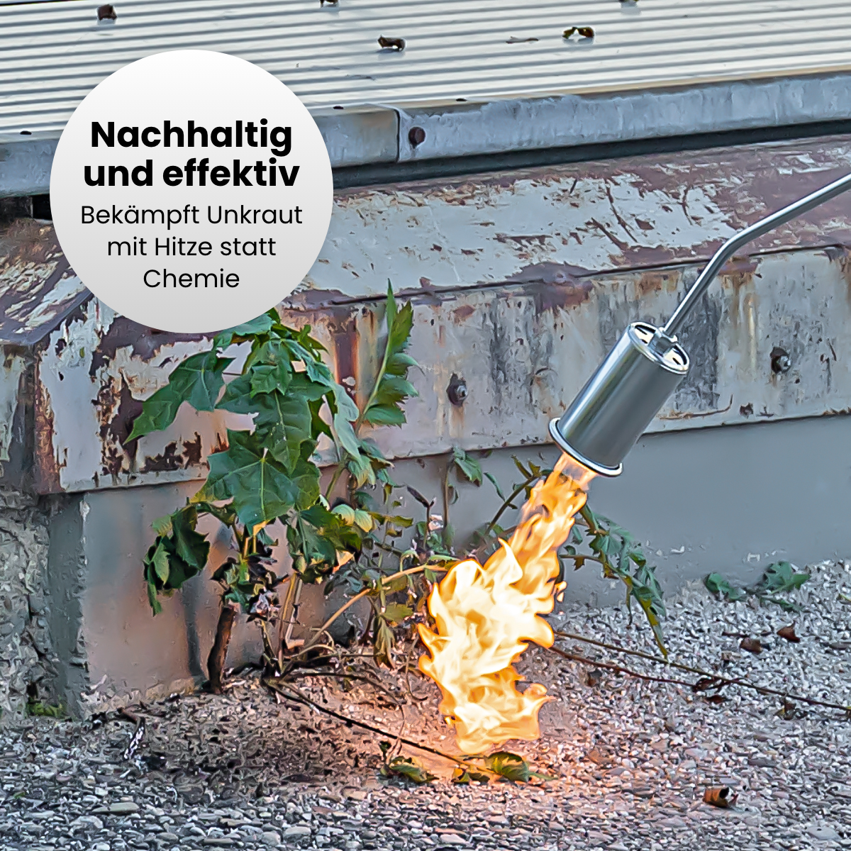 Anwärmbrenner inkl. Gasflaschen-Wagen, 5m Schlauch und Regler