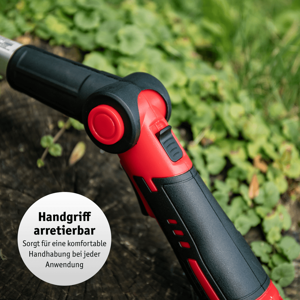 WALTER Li-Ion Akku-Heckenschere/Grasschere 12 V