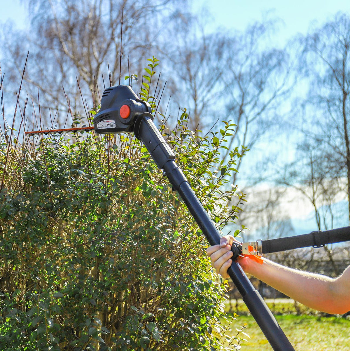 WALTER 2-in-1 Heckenschere/Kettensäge 450 W / 710 W