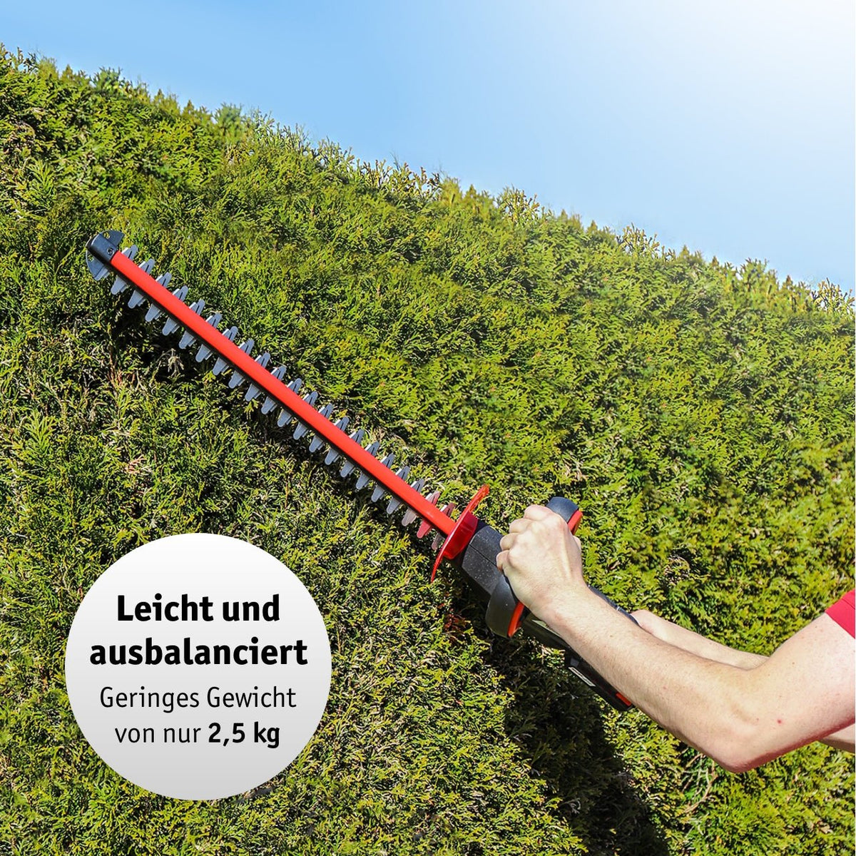WALTER Akku-Heckenschere 20 V