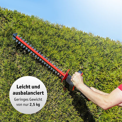 WALTER Akku-Heckenschere 20 V