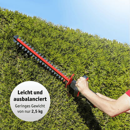 WALTER Akku-Gartengeräte-Set